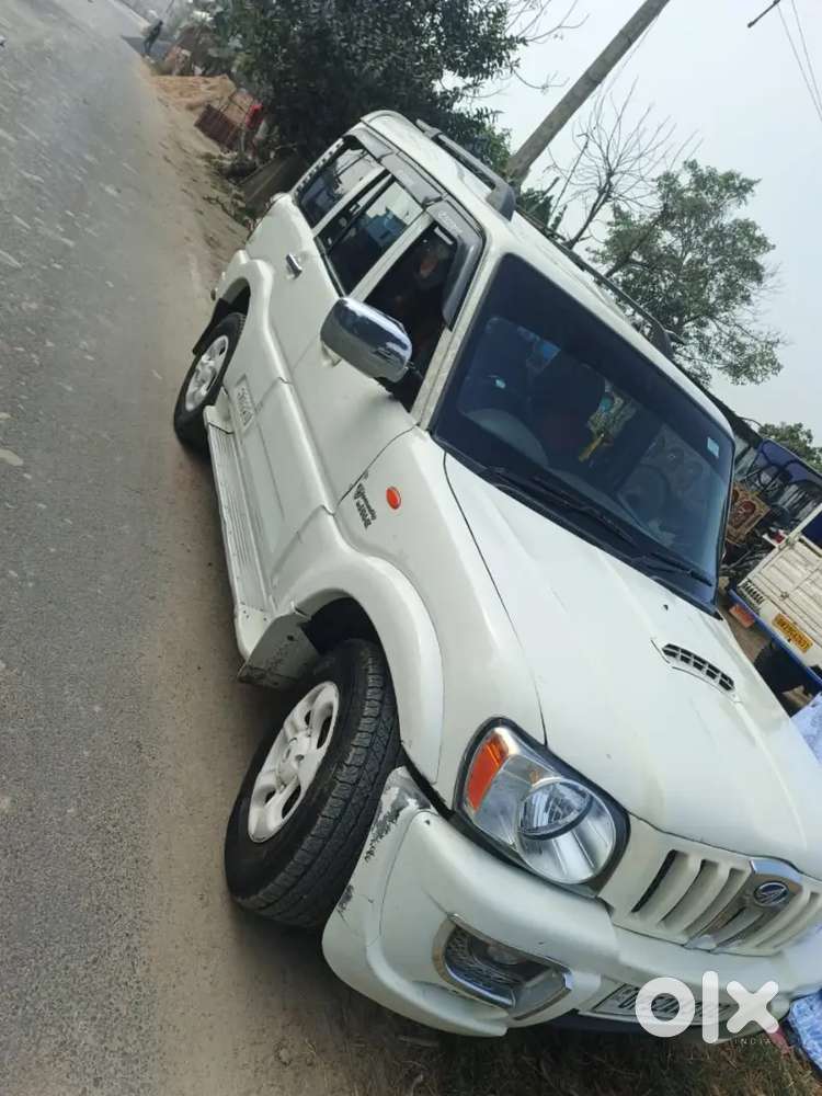 Scorpio Sle