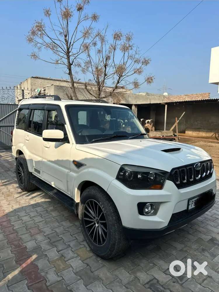 S10 Scorpio