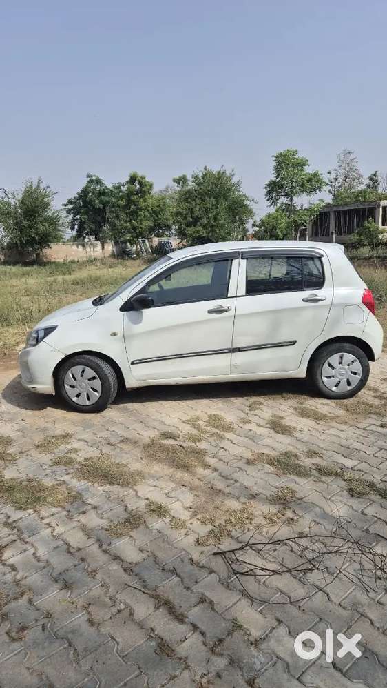 Maruti Suzuki Celerio 2016 Cng & Hybrids Well Maintained