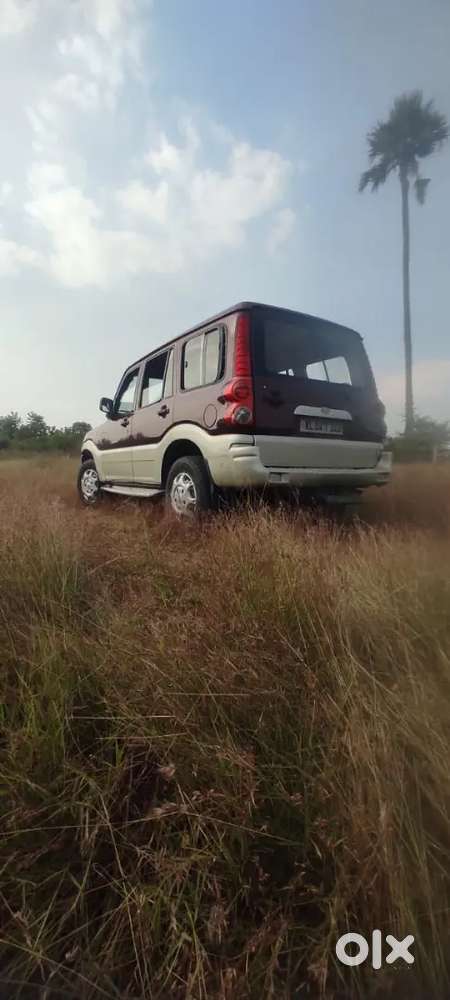 Scorpio Royal Maroon