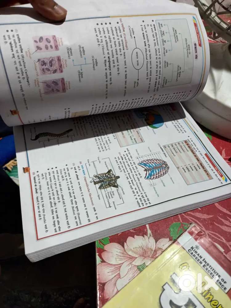 Gs sudha and ncert one liner book