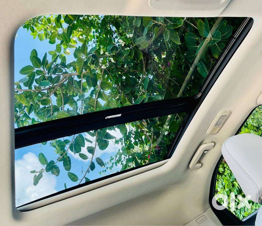Tata Curvv Ev Empowered Plus A 55, 2025, Electric