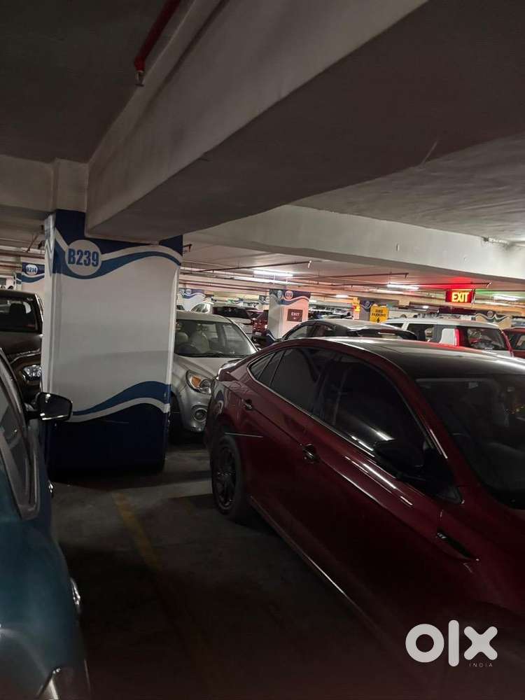 Volkswagen Virtus 2023 Petrol 23000 Km Driven