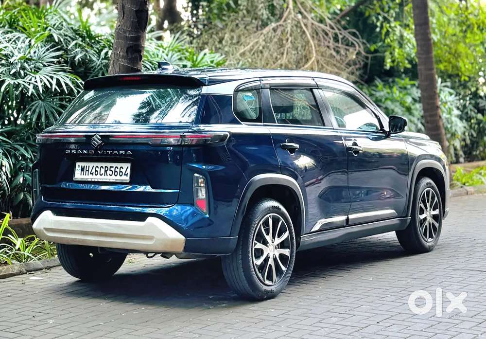 Grand Vitara Delta Cng 2024