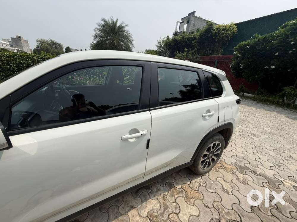 Maruti Suzuki Grand Vitara 2023 Petrol Well Maintained
