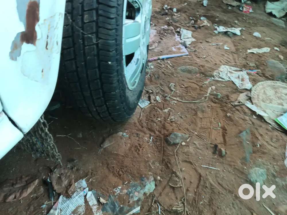 Ambassador Ambassador 1991