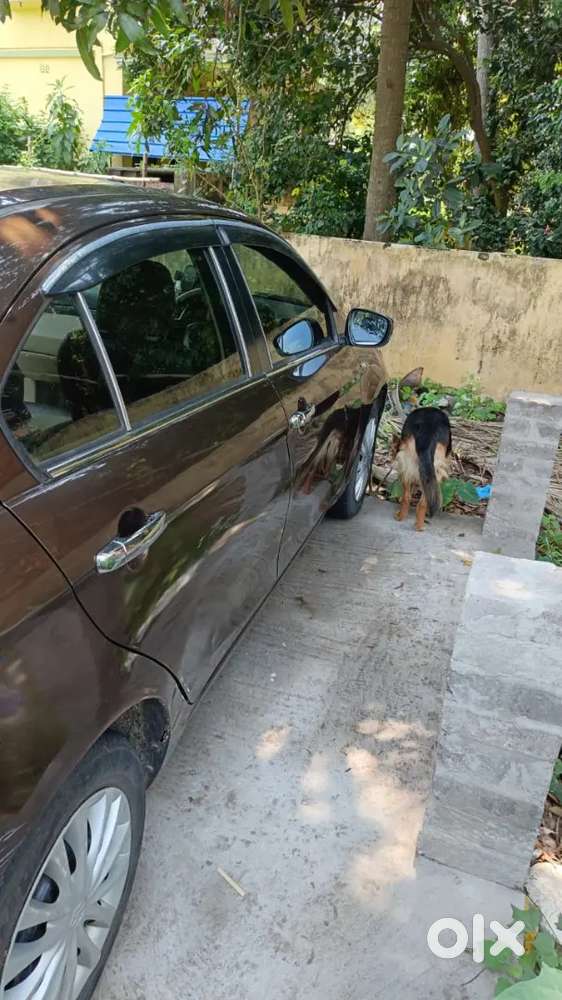 Maruti Ciaz Petrol 2017