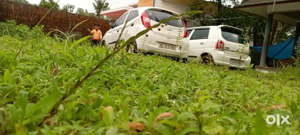 Good Condition New Insurance New 2 Tyre Single Waner  No Accident