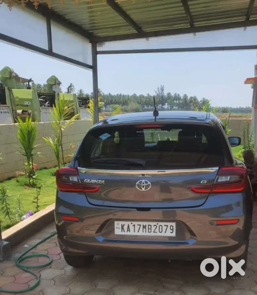 Very Good Shoroom Ricard