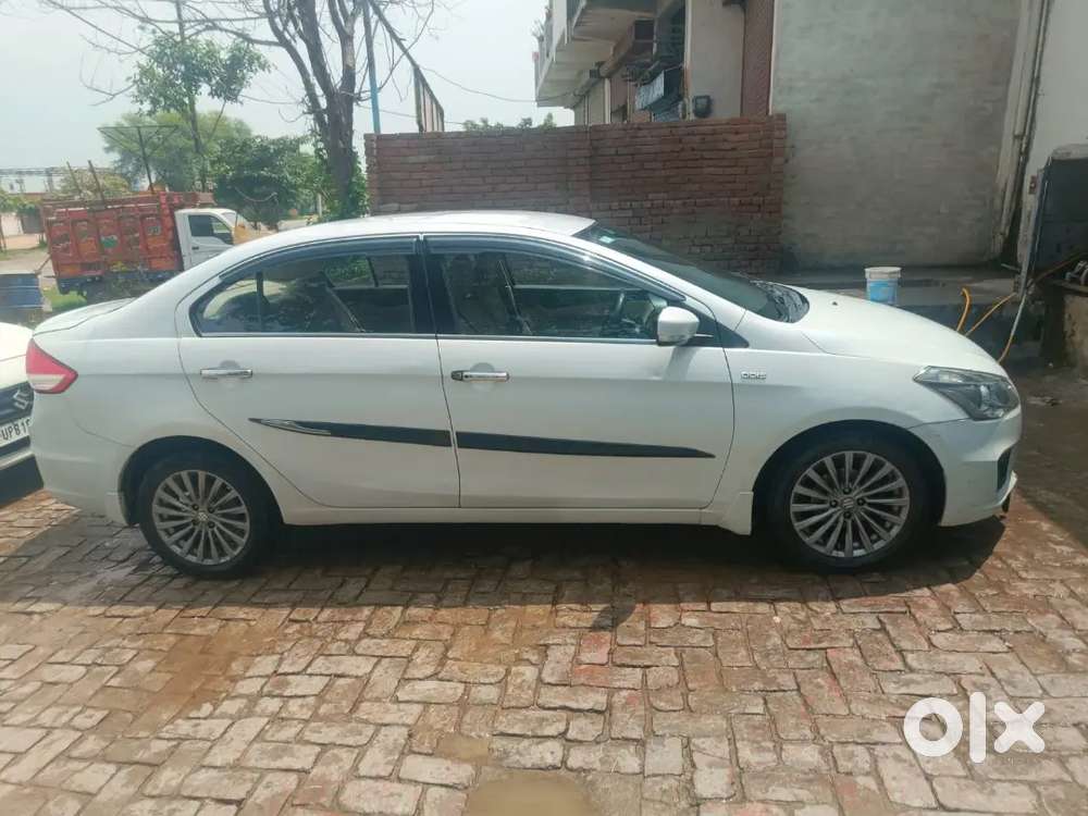 Maruti Suzuki Ciaz 2016 Diesel