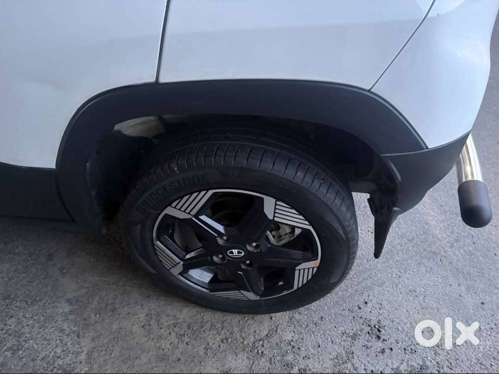 Tata Punch Ev 2024 Ev