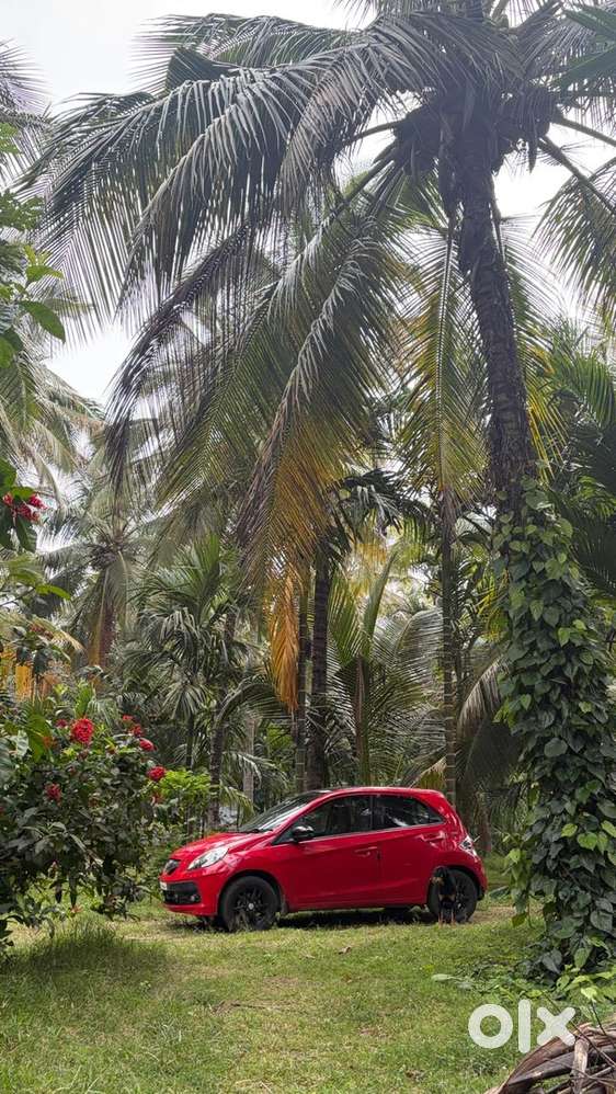 Honda Brio 2015 Automatic Transmission Petrol Well Maintained