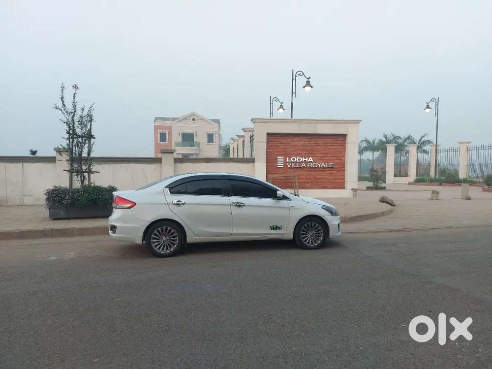 Maruti Suzuki Ciaz 2017 Diesel Well Maintained