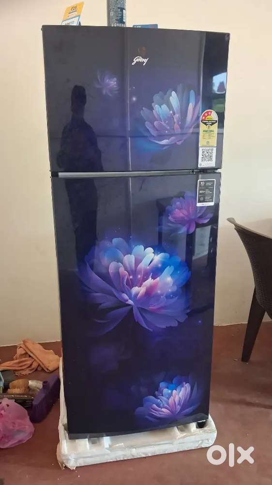 Godrej 244 L Double Door Fridge