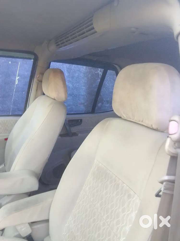 Tata Safari Decor