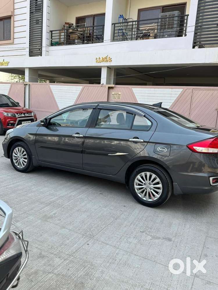 Maruti Suzuki Petrol Manual 2024