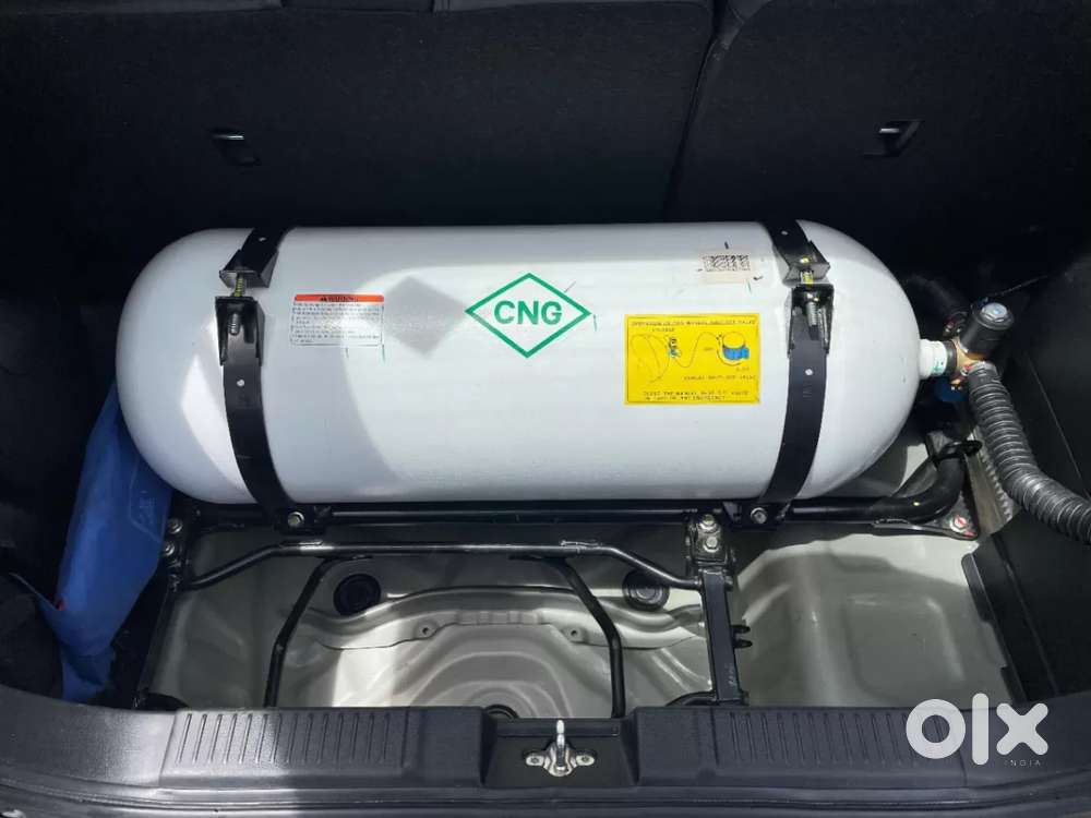 Maruti Suzuki Swift Zxi Cng, 2025, Petrol