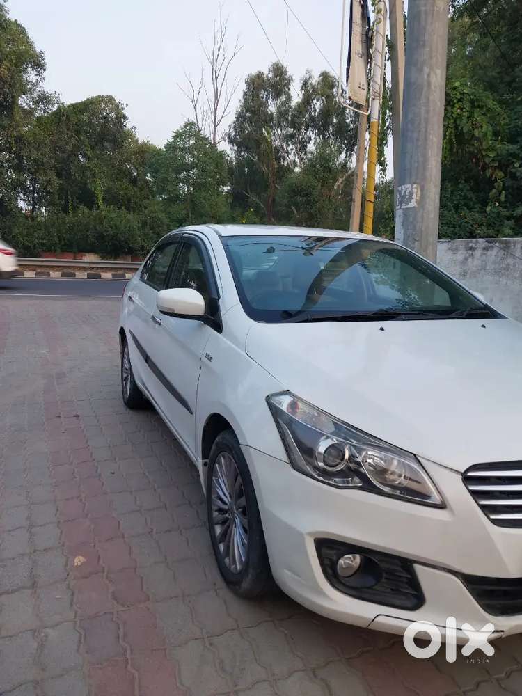 Maruti Suzuki Ciaz 2017 Diesel