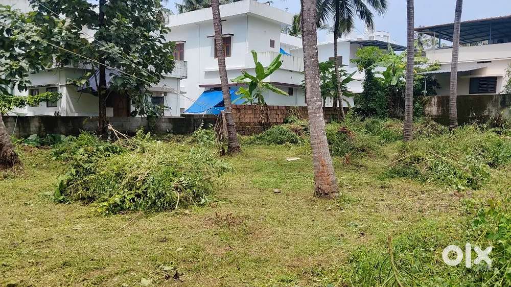 Plot for sale near chonadam just 1KM From ബൈപാസ്