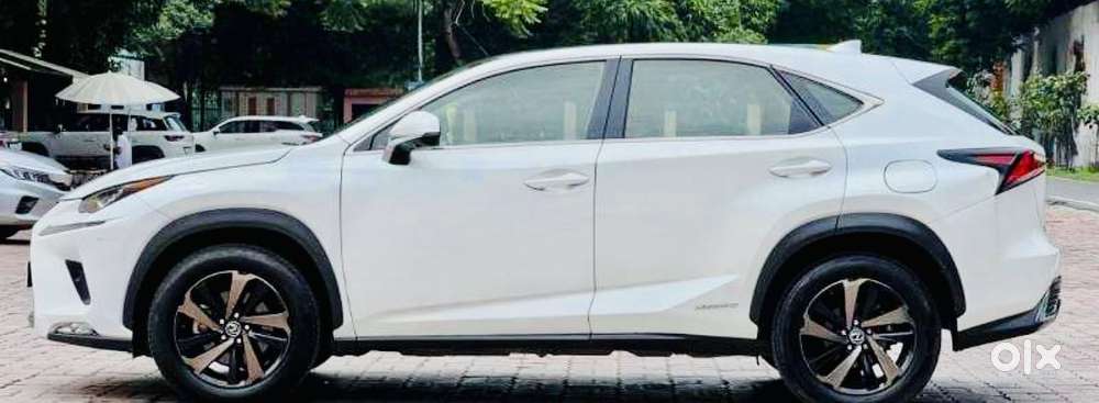 Lexus Nx Lexus-nx-300h-luxury, 2020, Petrol