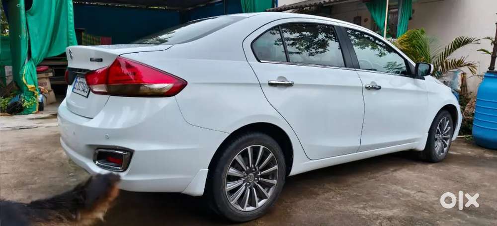 Maruti Suzuki Ciaz 2018 Petrol 21000 Km Driven Top Model Hybrid