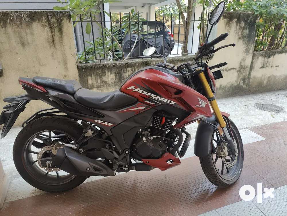 Olx best sale hornet bike