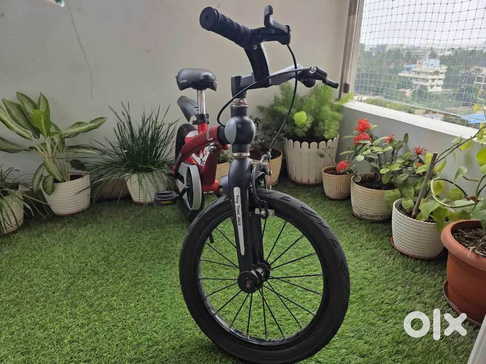 R For Rabbit Tiny Toes Jazz-16 Inch Bicycle Red Bicycles