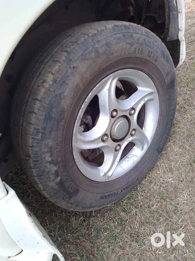 Scarpio Crd