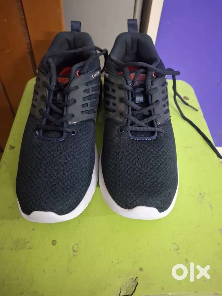 Brand New Campus Shoes