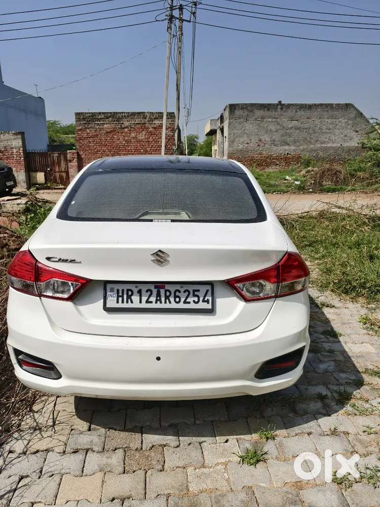 Maruti Suzuki Ciaz 2017 Car