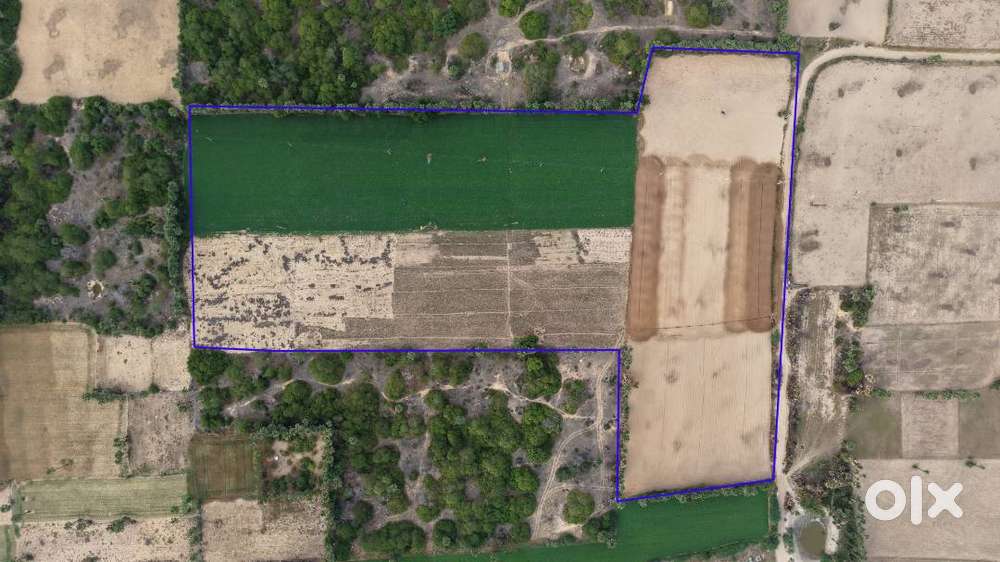 11 Acre Beach side Land for Sale in Chirala (Goa Model Tourism Zone)