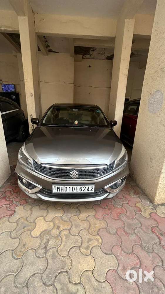 Maruti Suzuki Hybrid Alpha 2019