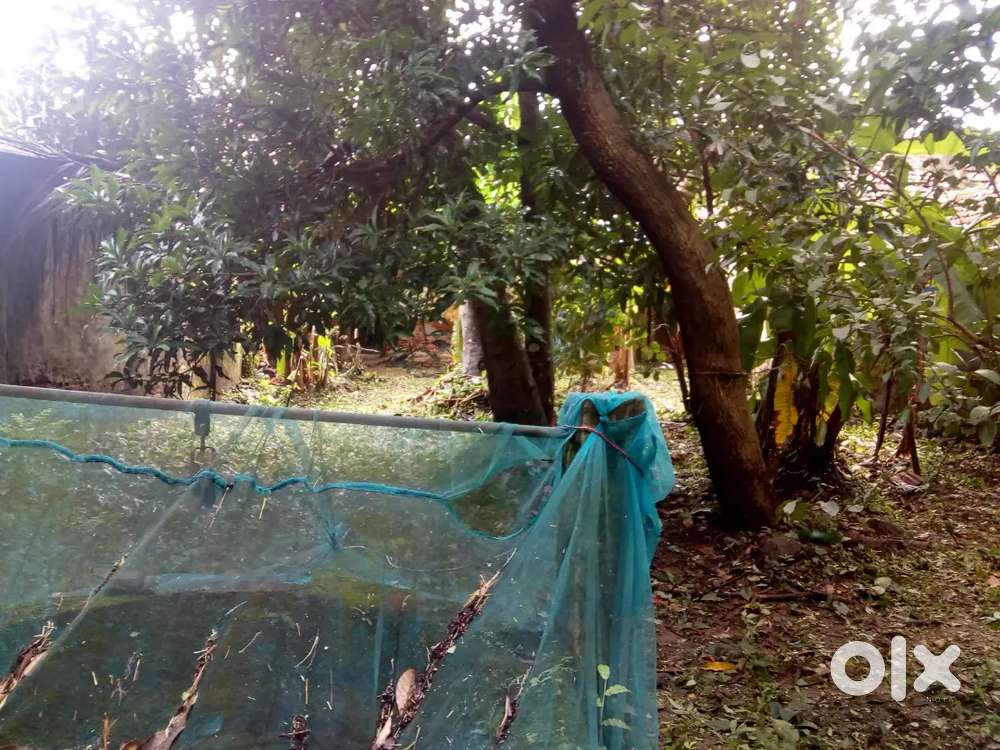 Old house with 10 cent of land for sale in Kollengode Allampallam For