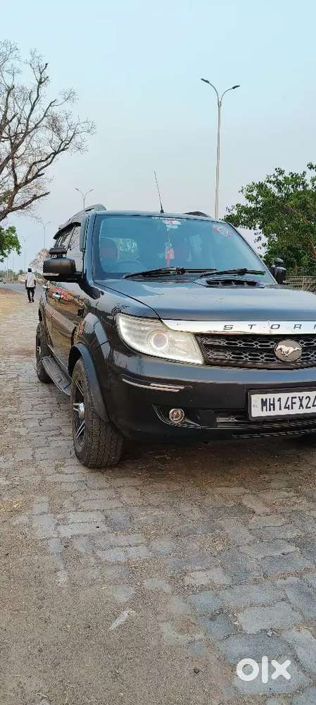 Family Cartata Safari