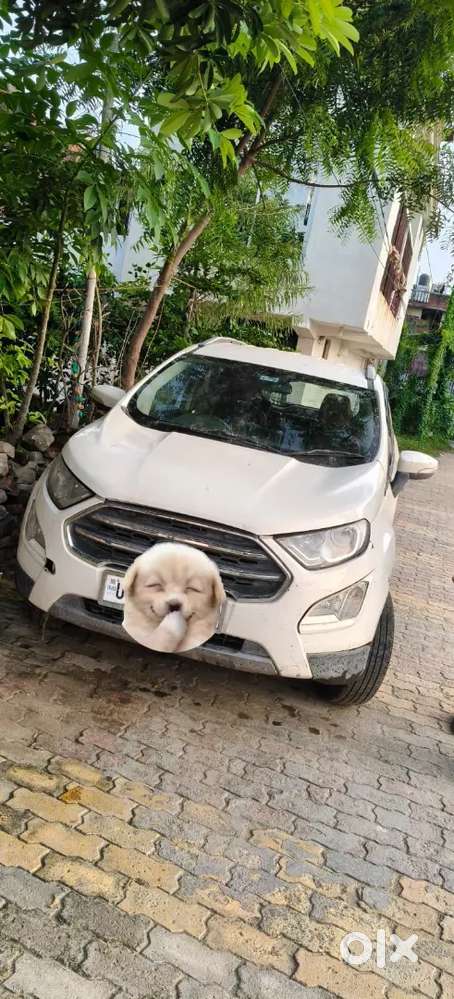 Ford Ecosport Diesel Manual 2017