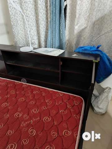 Zuari queen size store bed price