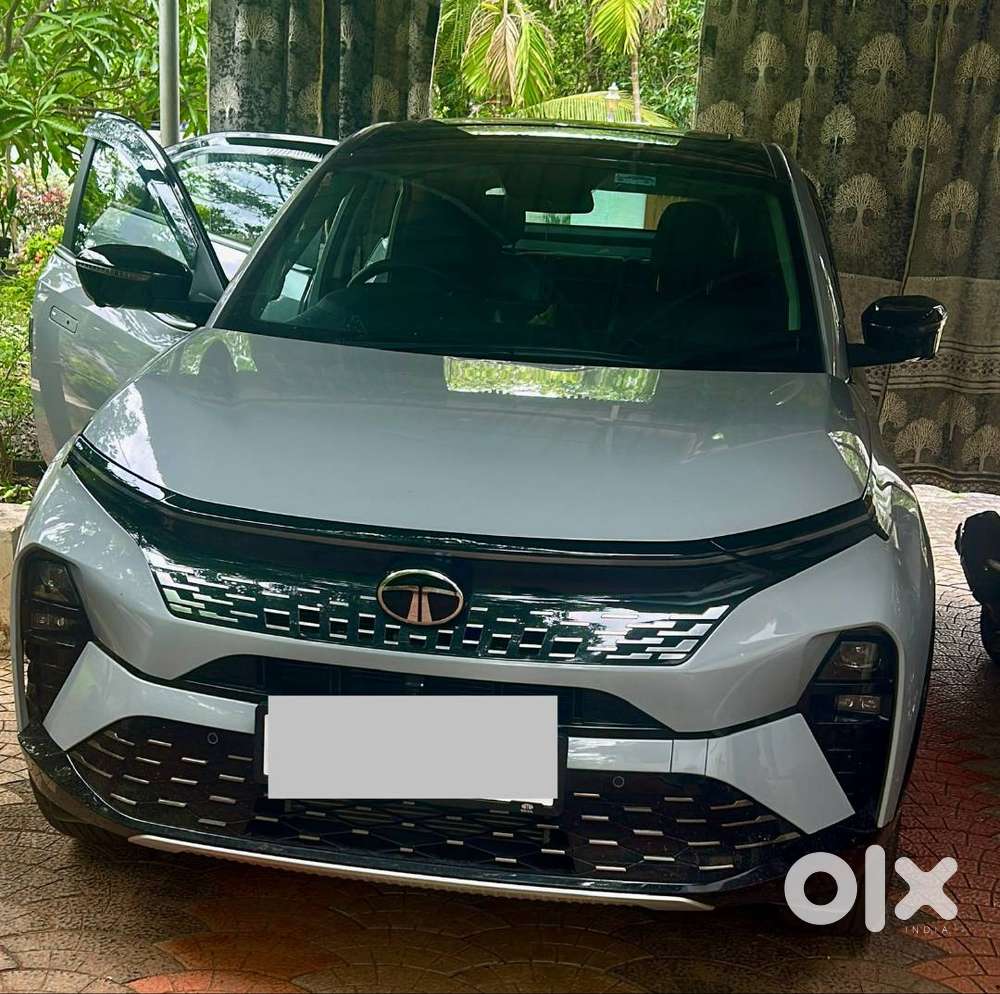 Tata Curvv 2025 Petrol Well Maintained