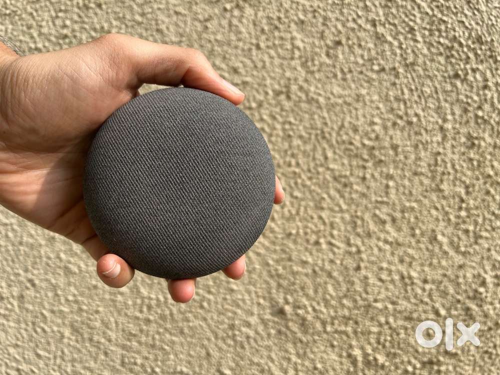 Google Nest Mini