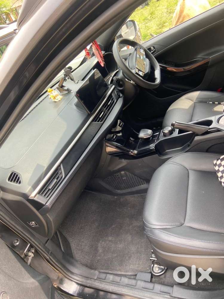 Reliable Tata Petrol 2024