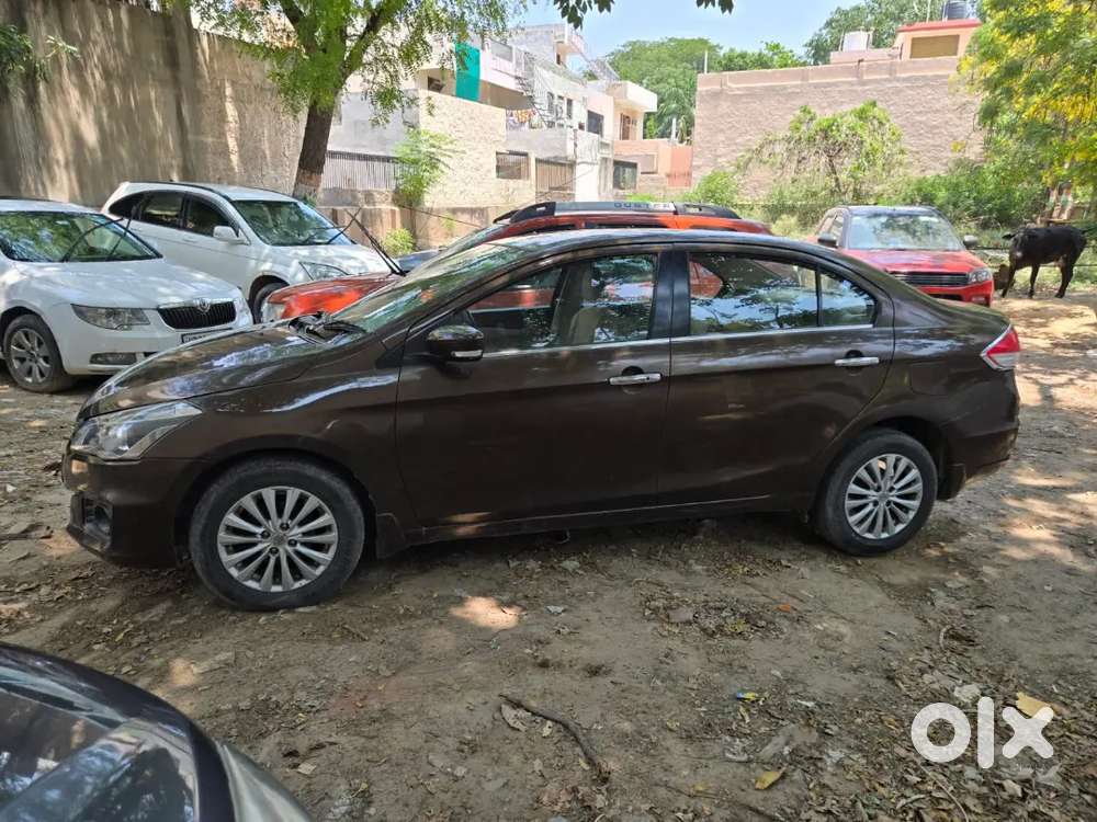 Ciaz Petrol 2015 Automatic Top Model