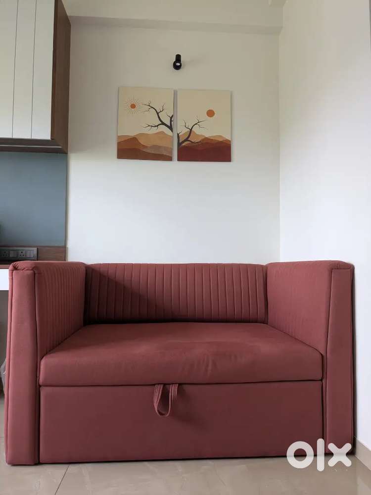 Sofa cum bed