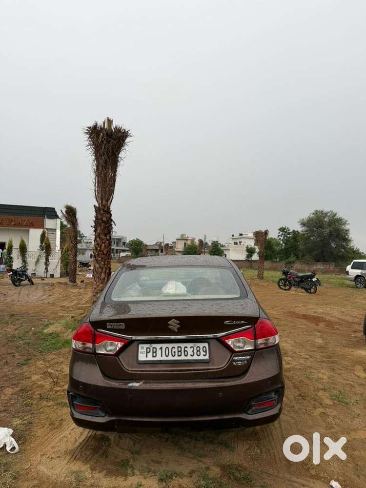 Maruti Suzuki Ciaz 2016 Diesel Well Maintained