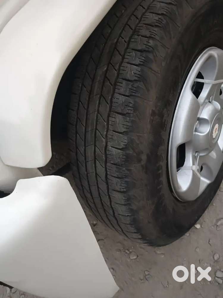 Mast Condition