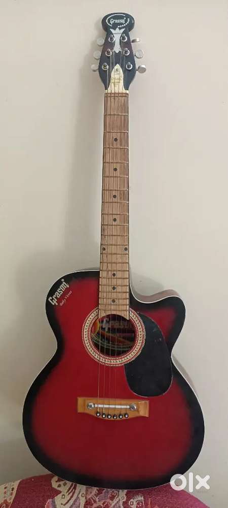 Acoustic Guitar