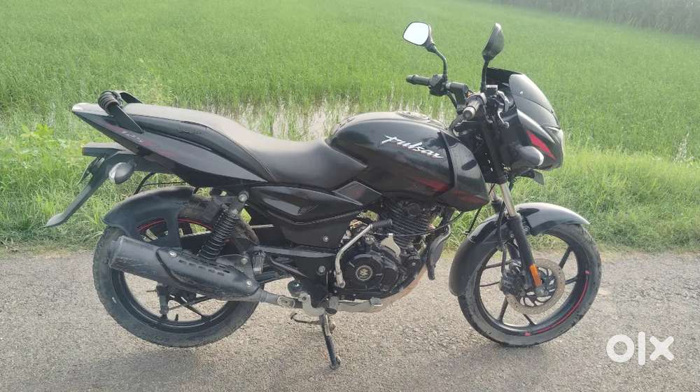 Bajaj Pulsar 125 2023 Model