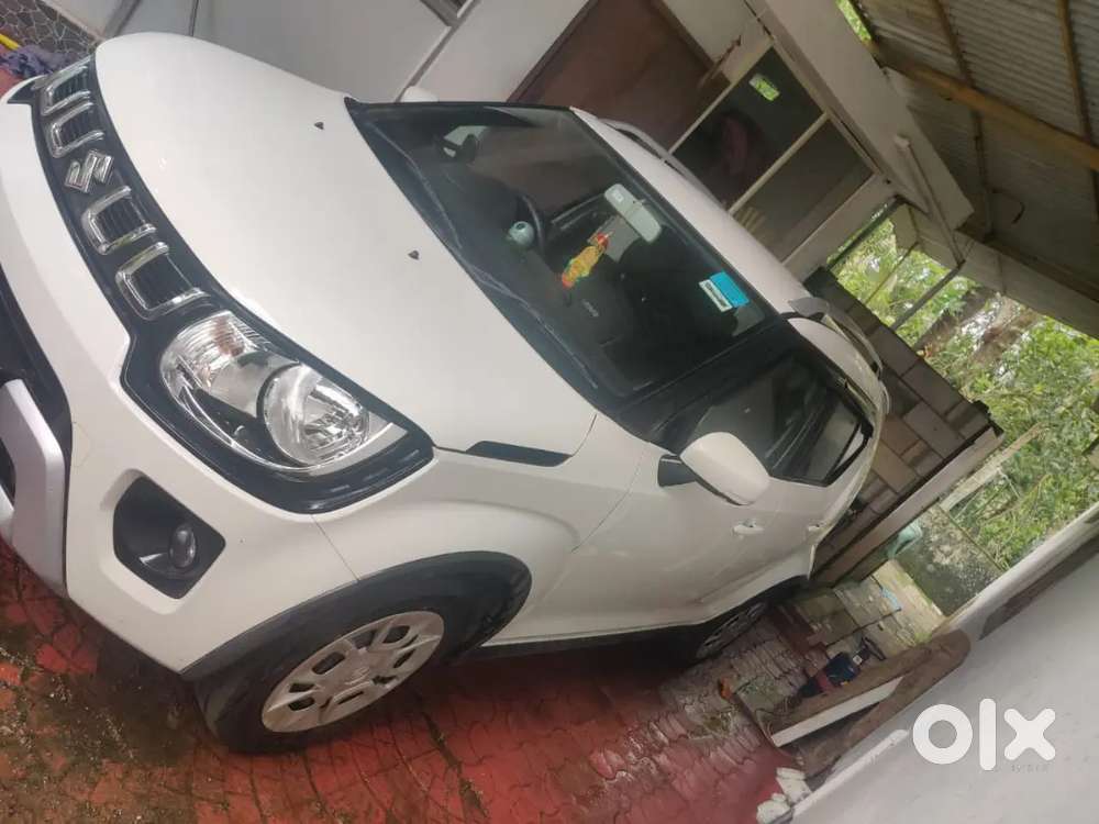 Maruti Suzuki Ignis 2024 Petrol