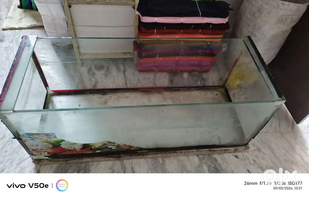 Fish pot sale