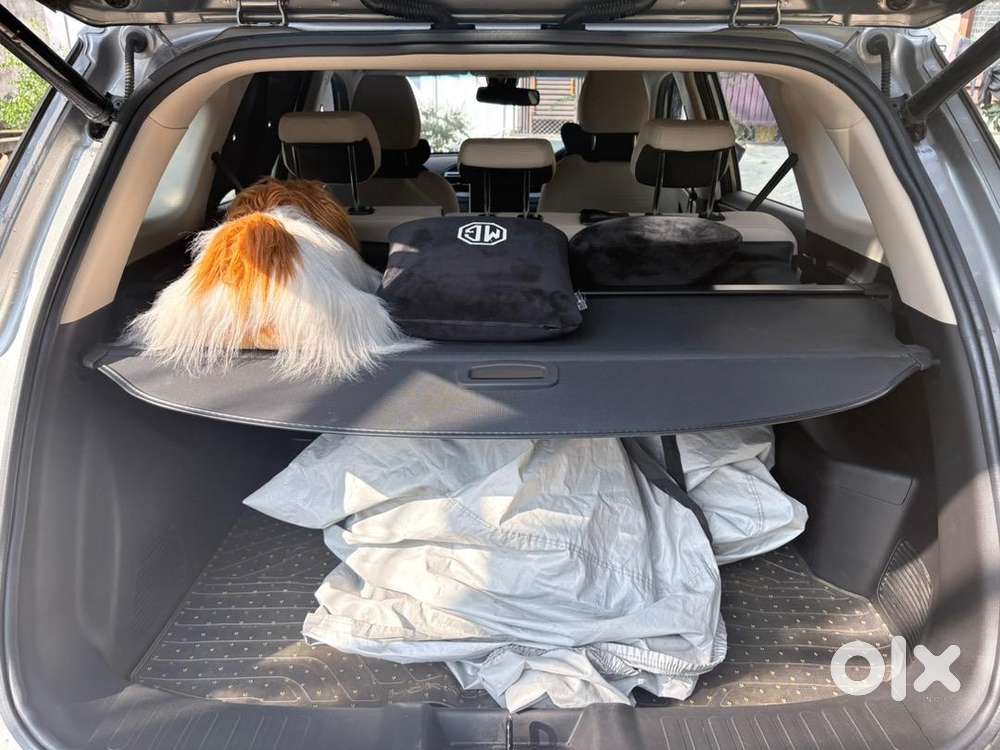 Mg Hector 2024 Petrol 7000 Km Driven