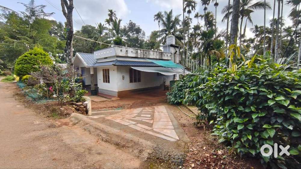A beautiful home, a private pond, and the peace of Wayanad
