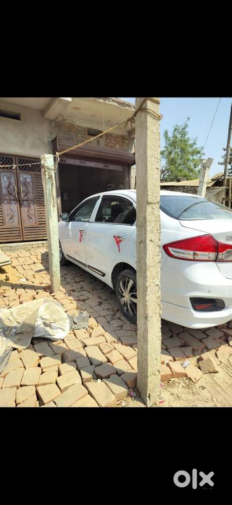 Maruti Suzuki Diesel Car 2015